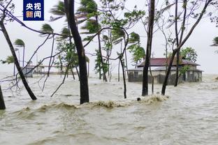 雷竞技rb下载截图2